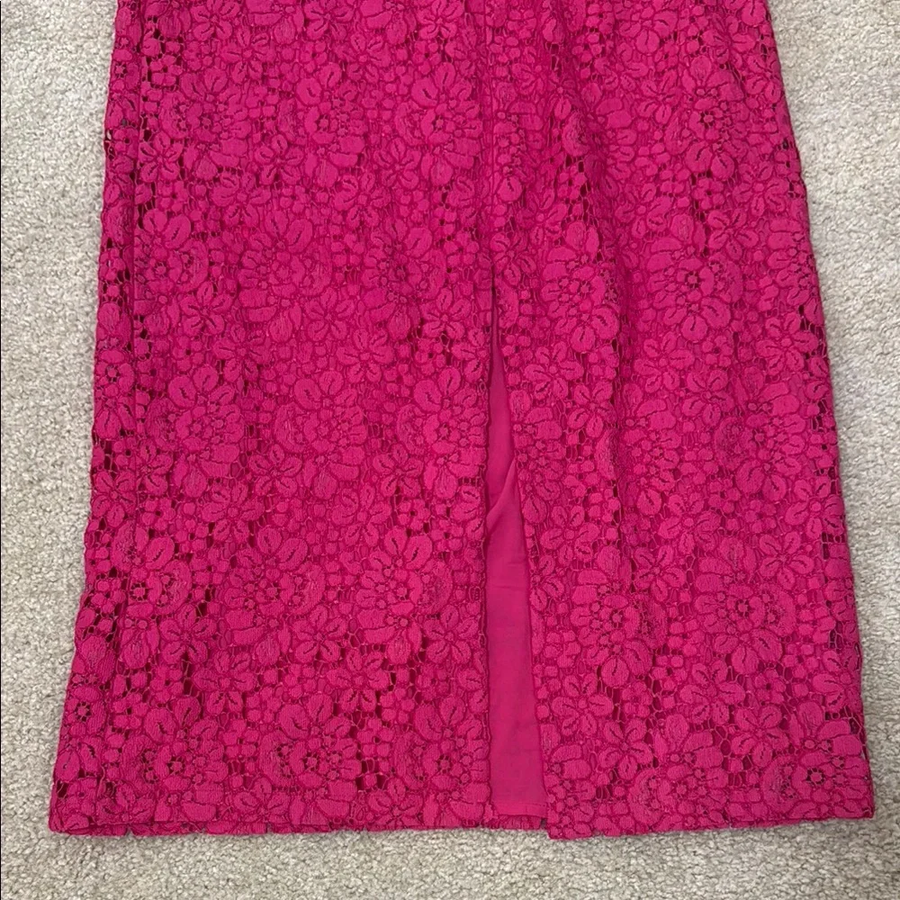 NWT Zara Pink Lace Dress